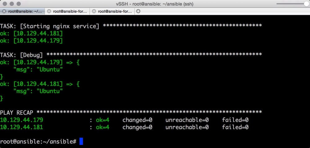 Ansible debug variable